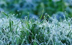В Україні прогнозують до +4°, подекуди сніг і дощ
