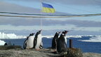 Українські вчені візьмуть участь у дослідженні забруднення Антарктики