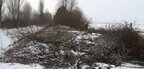 На Київщині зловмисники зрубали дерев на майже ₴2,5 мільона