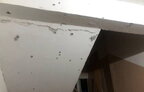 Підірвав гранату у під’їзді житлового будинку: на Київщині затримали підлітка