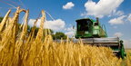 Новий врожай приніс на 77% менше доходу ніж планувалось українськими аграріями