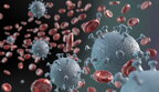 В Україні розповсюджуються 17 штамів коронавірусу