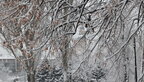 В Україні прогнозують сніг у низці областей, вдень до 6° тепла