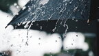 В Україні прогнозують невеликі опади, вдень до 7° тепла