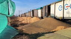 На польській залізничній станції висипали 160 тонн українського зерна