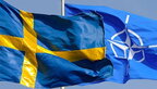 Президент Угорщини підписав протокол ратифікації членства Швеції у НАТО