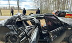 На Чернігівщині дерево впало на автомобіль: двоє людей загинули
