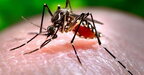 У МОЗ спростували фейк щодо поширення гарячки денге в Україні