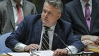 Кислиця розкритикував Генасамблею ООН за резолюцію про Міжнародний день коня
