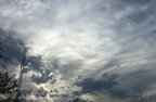 Погода в Україні на 7 червня: спека, грози та пожежна небезпека