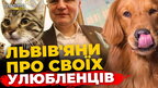 Як львів'яни ставляться до домашніх тварин: опитування | ПравдаТУТ Львів