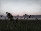 4 липня: гороскоп, іменини, свята