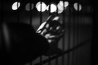 Втеча з в’язниці у Франції: 20-річний ув'язнений сховався у мішку з білизною та зник