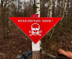 У Коблевому на узбережжі вибухнула міна, є постраждалий