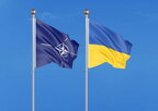 Віра українців у швидкий вступ до ЄС і НАТО знижується — опитування Gallup