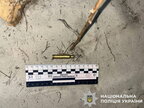 На Київщині чоловік застрелив сусідського алабая