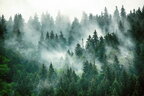 20 серпня: гороскоп, іменини, свята