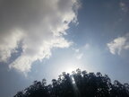 Завтра в Україні: температура вдень до +32°, місцями грози