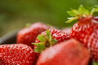 Топ-10 найкорисніших продуктів проти старіння організму