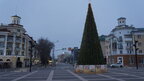 Біля драмтеатру в окупованому Маріуполі росіяни встановили 14-метрову ялинку
