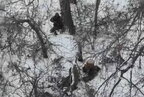 Російські окупанти розстріляли двох українських військовополонених у Шаховому