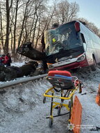 Аварія на трасі Київ—Чоп: автобус з Відня з’їхав у кювет, семеро пасажирів госпіталізовані
