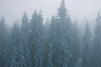 20 січня: свята, іменини та гороскоп