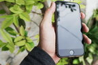 25% смартфонів у світі становлять iPhone – Counterpoint
