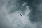 Під час операції над Іраком розбився літак-заправник США