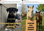 Як китайська «Церква Всемогутнього Бога» вербує українців через Facebook