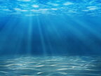 Археологи встановили особи ще трьох моряків експедиції Франкліна