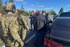 В Україні викрили схему легалізації незаконно зрубаних дубів на 147 млн грн