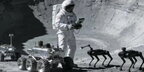 Китайці візьмуть на Місячну базу собак-роботів: для охорони, допомоги і спілкування