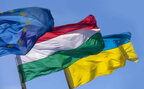 Одна з країн ЄС продовжила тимчасовий захист для українських чоловіків призовного віку