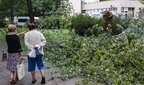 Циклон «Приска» накрив Балтію: двоє людей загинули, понад мільйон споживачів без світла