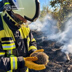 Рятувальники врятували їжачка під час пожежі сухої трави на Львівщині